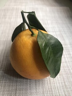 带绿叶的新鲜黄橙