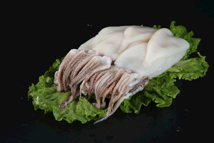 新鲜鱿鱼