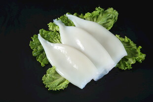 新鲜鱿鱼