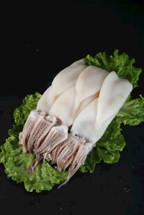 新鲜鱿鱼