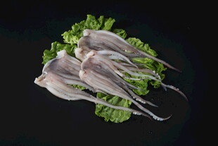 新鲜鱿鱼