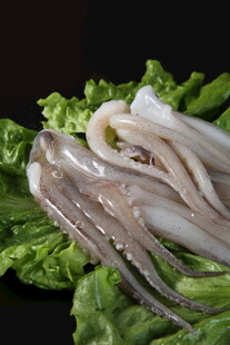 新鲜鱿鱼