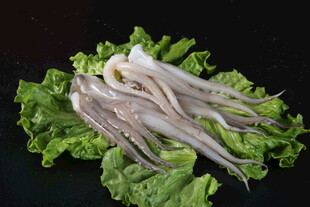 新鲜鱿鱼须