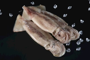 冰鲜鱿鱼