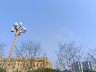 城市路灯与天际线景观