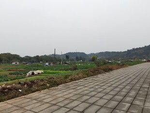 乡村砖铺小路田园风光