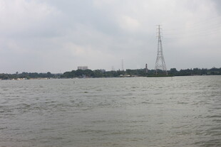 江边远景中的高耸建筑