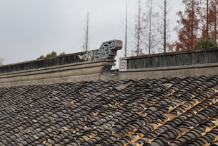 银杏叶落叶屋顶