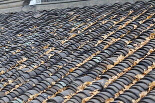 银杏叶瓦片屋顶