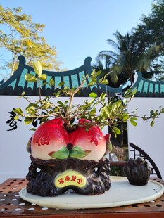 寿桃盆景摆件