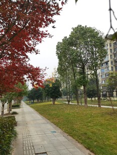 秋日公园幽静小道景色