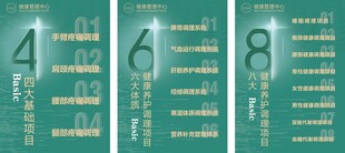 数字序列展示图项目介绍