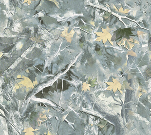 抽象树叶纹理图案