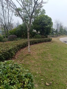 户外绿植景观一角