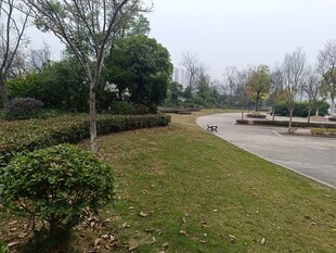 公园草坪与小径景观