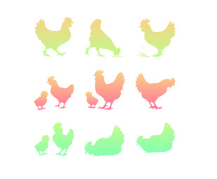 鸡图案