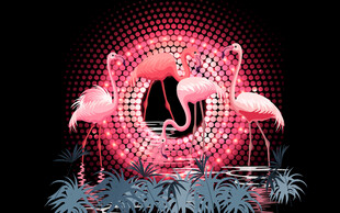 霓虹火烈鸟装饰图案