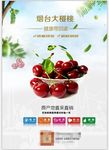 水果DM单宣传