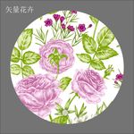 矢量花鸟图图片