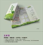 绿色三折页