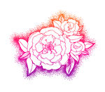 海棠花 花 手绘 线稿