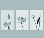 水墨荷花装饰挂画