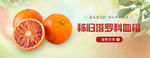 血橙 banner
