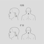 穴位矢量线稿图