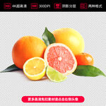 高清柠檬橘子免扣素材