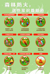 漫画森林防火常识