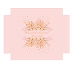 产品包装设计樱花天地盒 