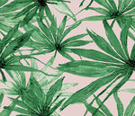 树叶芭蕉叶热带叶子