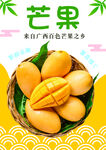 广西芒果