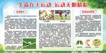校园运动宣传专栏