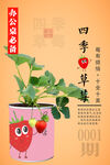 四季草莓瓶贴