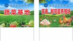 蔬菜基地、养鸡场图片