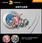 章鱼立体画