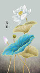 玄关图  荷花 