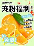 宠粉福利橙子免费领