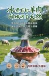 冰煮有机羊肉