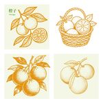 橙子园采摘田园插画图案