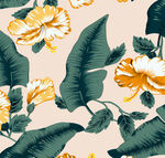 黄槿绿叶花卉图案背景