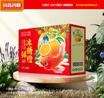 橙子包装 沃柑礼盒