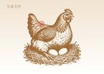 手绘母鸡插画