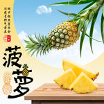 菠萝