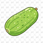 冬瓜插画