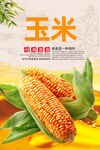 玉米