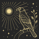 夜空中的金鸟与光芒