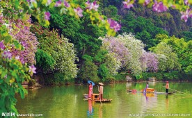 春天风景摄影图