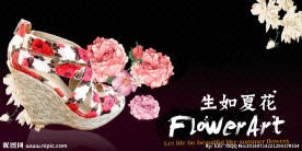 生如夏花